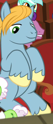 Size: 401x941 | Tagged: safe, screencap, auntie applesauce, desert wind, lyra heartstrings, punt throw, earth pony, pony, g4, grannies gone wild, cropped, las pegasus resident, male, sitting, solo focus, stallion