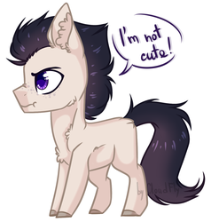 Size: 1280x1346 | Tagged: safe, artist:lazycloud, oc, oc only, earth pony, pony, colt, i'm not cute, male, simple background, solo, white background