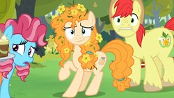 Size: 1920x1080 | Tagged: safe, screencap, bright mac, cup cake, pear butter, earth pony, pony, g4, the perfect pear, female, flower, flower in hair, male, mare, messy mane, raised hoof, stallion, surprised, trio, younger