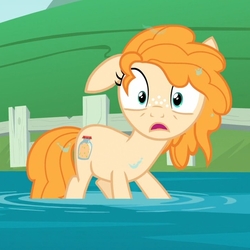 Size: 717x717 | Tagged: safe, screencap, pear butter, earth pony, pony, g4, the perfect pear, cropped, female, shocked, solo, water, wet, wet mane, younger