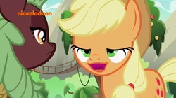 Size: 1542x866 | Tagged: safe, screencap, applejack, cinder glow, summer flare, kirin, pony, g4, season 8, sounds of silence, faic, female, great moments in animation, mare, midblink, ponyface, wat, watermark