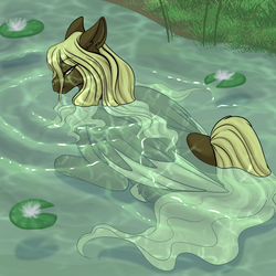 Size: 800x800 | Tagged: safe, artist:foxenawolf, oc, oc only, oc:ickle muse, pegasus, pony, female, looking at you, looking back, looking back at you, partially submerged, solo, unshorn fetlocks, water, waterlily