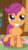 Size: 154x277 | Tagged: safe, screencap, scootaloo, pony, g4, the washouts (episode), cropped, female, solo