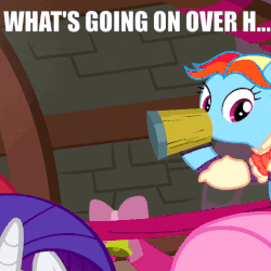 Size: 505x505 | Tagged: safe, edit, edited screencap, screencap, rainbow dash, snowdash, a hearth's warming tail, g4, animated, bowtie, clothes, female, image macro, meme, reaction image, shirt, waistcoat, what's going on in this thread