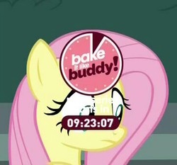 Size: 360x335 | Tagged: safe, screencap, fluttershy, pony, g4, the washouts (episode), countdown clock, cropped, female, solo