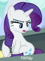 Size: 674x908 | Tagged: safe, screencap, applejack, rarity, earth pony, pony, unicorn, g4, the washouts (episode), cropped, discovery family logo, disgusted, female, mare, offscreen character, sitting, solo focus