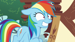 Size: 1280x720 | Tagged: safe, screencap, rainbow dash, pegasus, pony, g4, the washouts (episode), female, flying, insanity face, mare, rainbow dash is best facemaker, rainbowsnap, shrunken pupils, solo