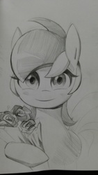 Size: 2340x4160 | Tagged: safe, artist:초보놀이, roseluck, earth pony, pony, g4, black and white, blushing, bouquet, female, grayscale, mare, monochrome, smiling, solo, traditional art