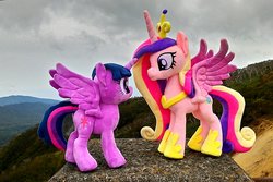 Size: 1200x801 | Tagged: safe, artist:nekokevin, princess cadance, twilight sparkle, alicorn, pony, g4, cloud, crown, female, hoof shoes, irl, jewelry, looking at each other, mare, nature, outdoors, peytral, photo, plushie, regalia, sisters-in-law, size difference, spread wings, tiara, twilight sparkle (alicorn), wings