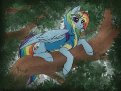 Size: 1280x960 | Tagged: safe, artist:honiibree, rainbow dash, pegasus, pony, g4, backwards cutie mark, clothes, commission, female, goggles, mare, resting, sitting in a tree, smiling, solo, tree, tree branch, uniform, wonderbolt trainee uniform