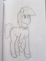 Size: 774x1032 | Tagged: safe, artist:dyonys, oc, oc only, oc:3a-c, android, pony, bowtie, male, solo, stallion, traditional art