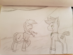 Size: 4032x3024 | Tagged: safe, artist:dyonys, oc, oc only, oc:lucky brush, oc:night chaser, earth pony, pony, clothes, female, kite, luckychaser, male, mare, stallion, traditional art