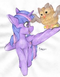 Size: 1280x1648 | Tagged: safe, artist:angelface2006, owlowiscious, twilight sparkle, alicorn, bird, owl, pony, g4, cute, female, mare, open mouth, scroll, simple background, smiling, traditional art, twiabetes, twilight sparkle (alicorn), watercolor painting, white background