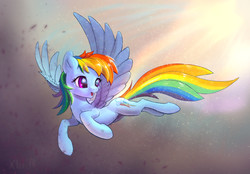 Size: 2841x1974 | Tagged: safe, artist:xbi, rainbow dash, pegasus, pony, g4, female, flying, open mouth, solo, spread wings, turned head, wallpaper, wings