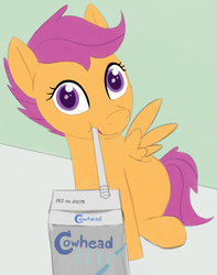 Size: 1259x1601 | Tagged: safe, artist:anonymous, scootaloo, pegasus, pony, g4, 4chan, blank flank, colored, cute, cutealoo, drawthread, drinking, drinking straw, drinking through a straw, female, filly, foal, looking at you, milk, milk carton, ponified animal photo, simple background, solo, spread wings, straw, wings