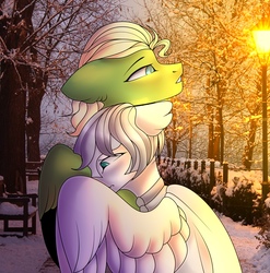 Size: 2133x2160 | Tagged: artist needed, safe, oc, oc:chrysolite, oc:light knight, pegasus, pony, duo, high res, hug, sunlight