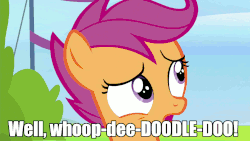 Size: 1280x720 | Tagged: safe, edit, edited screencap, screencap, scootaloo, spitfire, pegasus, pony, g4, the washouts (episode), animated, clothes, duo, female, filly, foal, image macro, impact font, mare, meme, spitfire's tie, sunglasses, text, uniform, whoop-dee-doodle-doo, wonderbolts dress uniform