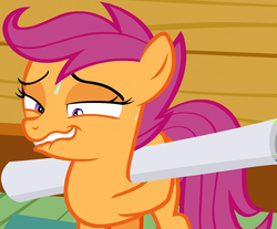 Size: 1191x988 | Tagged: safe, screencap, scootaloo, pegasus, pony, g4, the washouts (episode), faic, female, filly, lip bite, out of context, poster, solo, sweat, sweatdrop