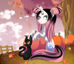 Size: 1600x1378 | Tagged: safe, artist:spookyle, oc, oc only, oc:willow wisp, cat, autumn, pumpkin, solo