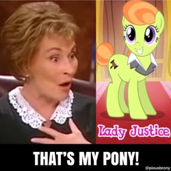 Size: 1200x1201 | Tagged: safe, gameloft, lady justice, swift justice, g4, judge judy, meme, that's my pony, that's my x