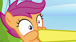 Size: 1280x720 | Tagged: safe, screencap, scootaloo, spitfire, g4, the washouts (episode), hoof in mouth, out of context