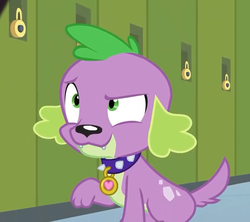 Size: 609x540 | Tagged: safe, screencap, spike, spike the regular dog, dog, equestria girls, g4, my little pony equestria girls: friendship games, cropped, male, paws, smiling