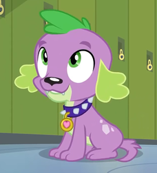 Size: 629x690 | Tagged: safe, screencap, spike, spike the regular dog, dog, equestria girls, g4, my little pony equestria girls: friendship games, cropped, paws, smiling