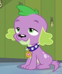 Size: 580x689 | Tagged: safe, screencap, spike, spike the regular dog, dog, equestria girls, g4, my little pony equestria girls: friendship games, cropped, male, paws