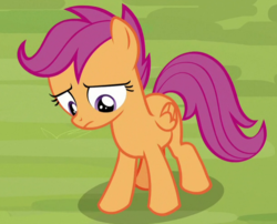Size: 612x495 | Tagged: safe, screencap, scootaloo, pegasus, pony, g4, the washouts (episode), cropped, female, filly, foal, sad, solo