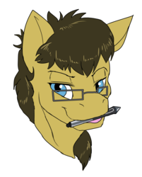Size: 2782x3463 | Tagged: safe, artist:neoncel, oc, oc only, oc:rune, pony, high res, mouth hold, simple background, solo, transparent background