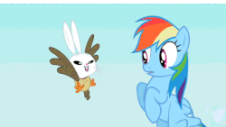 Size: 853x480 | Tagged: safe, screencap, angel bunny, owlowiscious, rainbow dash, pegasus, pony, g4, may the best pet win, allpet, gif, non-animated gif