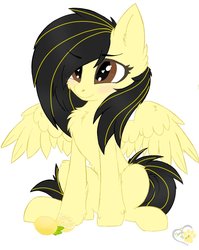 Size: 1200x1508 | Tagged: safe, artist:mlp_wulfieshy, artist:wulfieshydev, oc, oc only, pegasus, pony, chest fluff, commission, cute, femboy, hooves, male, simple background, solo, white background