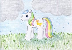 Size: 1024x713 | Tagged: safe, artist:normaleeinsane, baby quackers, pony, g1, cloud, female, grass, rain, solo, traditional art