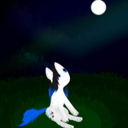 Size: 1024x1024 | Tagged: safe, artist:gexon_pane, oc, oc only, oc:frozen tears, pegasus, pony, cloud, cloudy, female, field, grass, looking up, mare, moon, night, sitting, solo, stars