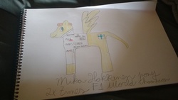 Size: 4160x2340 | Tagged: safe, artist:super-coyote1804, pegasus, pony, clothes, colored pencil drawing, finland, formula 1, mika hakkinen, ponified, shirt, solo, traditional art