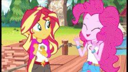 Size: 498x280 | Tagged: safe, edit, edited screencap, screencap, pinkie pie, sunset shimmer, cat, equestria girls, g4, my little pony equestria girls: legend of everfree, animated, cursed image, female, funny, funny as hell, gif, meme, not salmon, op is a genius, plop, sunset sees things, wat, wheelchair cat