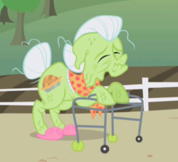 Size: 569x520 | Tagged: safe, screencap, granny smith, earth pony, pony, g4, the ticket master, arthritic, clothes, cropped, elderly, eyes closed, female, floppy ears, mare, shawl, slippers, solo, tennis ball, walker, wrinkles
