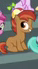 Size: 38x69 | Tagged: safe, screencap, button mash, earth pony, pony, g4, the washouts (episode), background pony, colt, cropped, foal, hat, liquid button, male, picture for breezies, smiling, solo focus