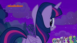 Size: 1920x1080 | Tagged: safe, screencap, end zone, fuchsia frost, goldy wings, loganberry, peppe ronnie, sugar maple, twilight sparkle, alicorn, earth pony, pegasus, pony, a rockhoof and a hard place, g4, adorkable, animated, background pony, cute, dork, eh, female, friendship student, looking back, male, mare, meh, raised hoof, shrug, smiling, sound, stallion, twilight sparkle (alicorn), webm