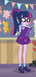 Size: 249x522 | Tagged: safe, screencap, sci-twi, sunset shimmer, twilight sparkle, equestria girls, equestria girls specials, g4, my little pony equestria girls: better together, my little pony equestria girls: rollercoaster of friendship, angry, book, clothes, cropped, female, glasses, offscreen character, ponytail, shoes, shrunken pupils, skirt, socks