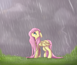 Size: 1601x1363 | Tagged: safe, artist:sinalaa, fluttershy, pegasus, pony, g4, chest fluff, female, floppy ears, looking up, mare, profile, rain, solo, stray strand, wet mane, wings