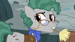 Size: 1920x1080 | Tagged: safe, screencap, professor fossil, earth pony, pony, a rockhoof and a hard place, g4, brush, clothes, discovery family logo, female, glasses, jacket, looking back, mare, mouth hold, neckerchief, solo