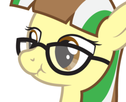 Size: 490x397 | Tagged: safe, artist:lightning stripe, oc, oc only, oc:beetle beat, earth pony, pony, g4, brown eyes, female, glasses, mare, scrunchy face, show accurate, simple background, solo, white background