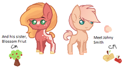 Size: 388x212 | Tagged: safe, artist:vintage-owll, oc, oc:blossom fruit, oc:johnny smith, pony, blaze (coat marking), brother and sister, coat markings, colored hooves, dot eyes, duo, facial markings, female, freckles, male, mare, offspring, parent:big macintosh, parent:fluttershy, parents:fluttermac, simple background, stallion, white background