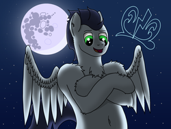 Size: 4032x3024 | Tagged: safe, artist:tacomytaco, soarin', pegasus, pony, g4, belly button, bipedal, chest fluff, crossed arms, fluffy, full moon, male, mare in the moon, moon, night, spread wings, stars, wings