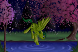 Size: 3000x2000 | Tagged: safe, artist:xcinnamon-twistx, oc, oc:evergreen feathersong, cherry blossoms, commission, flower, flower blossom, high res, petals, tree, water, ych result