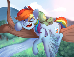 Size: 2180x1665 | Tagged: safe, artist:passigcamel, rainbow dash, tank, pegasus, pony, g4, backwards cutie mark, eyes closed, female, mare, river, scenery, sleeping, tree, tree branch, wings