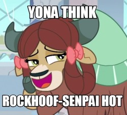 Size: 430x388 | Tagged: source needed, useless source url, safe, edit, edited screencap, screencap, rockhoof, yona, yak, a rockhoof and a hard place, g4, bedroom eyes, bow, cloven hooves, crush, female, hair bow, image macro, implied rockhoof, meme, monkey swings, school of friendship, senpai, ship:yonahoof, solo, text