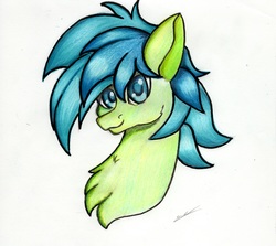 Size: 2447x2181 | Tagged: safe, artist:luxiwind, sandbar, pony, g4, bust, chest fluff, high res, male, portrait, solo, traditional art
