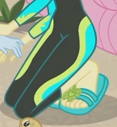 Size: 1940x2100 | Tagged: safe, screencap, fluttershy, rainbow dash, aww... baby turtles, equestria girls, g4, my little pony equestria girls: better together, cropped, feet, flip-flops, foot focus, heel pop, legs, pictures of legs, sandals, squatting, wetsuit